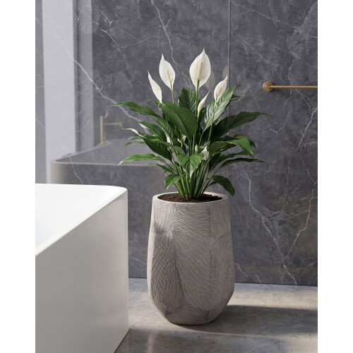 Beliani Plant Pot ENSTAL 32 cm Grey 1