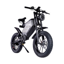 Mountain Ebike 1000W 48V 25AH Electric Bike 200KG 90KM
