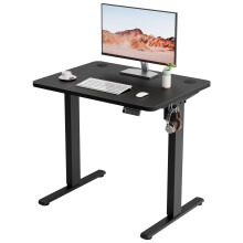 ERGOMAKER Electric Standing Desk 80x60cm, 2 Memory Presets, Black
