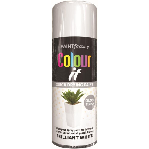 Rapide RAPIDE Colour It Spray Paint Brilliant White 400ml