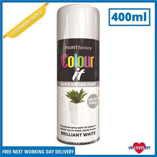 Rapide RAPIDE Colour It Spray Paint Brilliant White 400ml 1