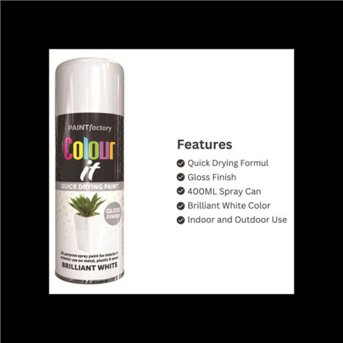 Rapide RAPIDE Colour It Spray Paint Brilliant White 400ml 2