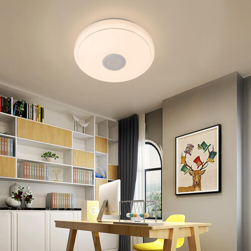 Ceiling Light, LED Round Ceiling Light, RGB Colour Changing Ceiling Light, Adjustable Lights with Remote Control, for Hallway, Entry, Porches, Mudroom 1