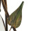 (Table Lamp) Visconte Pienza Floral Lights 7