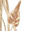 (Table Lamp) Visconte Siena Floral Lights 7