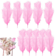 10 Pcs Ostrich Feathers, 20-25cm Large Fluffy Feather, Natural Feathers for Crafting, Christmas Tree Feather Decorations