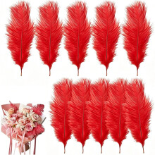10 Pcs Ostrich Feathers, 20-25cm Large Fluffy Feather, Natural Feathers for Crafting, Christmas Tree Feather Decorations
