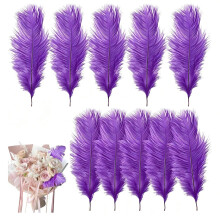 10 Pcs Ostrich Feathers, 20-25cm Large Fluffy Feather, Natural Feathers for Crafting, Christmas Tree Feather Decorations