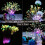 Joycome Firework Lights 2 Pack 198 LED Starburst Lights Battery Operated 6