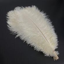LONDGEN 5pcs Ostrich Feathers 16-18inch(40-45cm) for Wedding Party Centerpieces Halloween Christmas Home Decorations (Ivory)