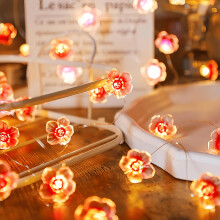 2M 20 LED Pink Cherry Blossom Fairy Lights Battery Operated Flower String Lights for Bedroom Decor Indoor Spring and Christmas Decorations Girls Room