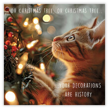 GBCC Funny Christmas Card for Men or Women - Cat With Festive Tree - 'Oh Christmas Tree Your Decorations Are History' Joke
