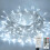 Lezonic 120LED Fairy Lights Plug in,12M/39Ft String Lights Cold White 1