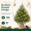Alupssuc 2FT Pre-lit Artificial Mini PE Christmas Tree for Xmas Decorations 4