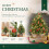 Alupssuc 2FT Pre-lit Artificial Mini PE Christmas Tree for Xmas Decorations 6