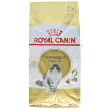 Royal Canin Cat Food Norwegian Forest 2 KG