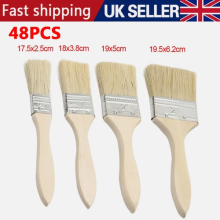 48Pcs Economy Paint Brushes Disposable Decorating Fence Artist Paint Brushes Set