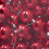 50 glänzende Christbaumkugeln - Deko-Set 5
