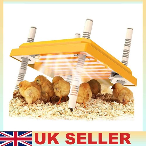 Adjustable Breed Chick Brooder Heating Plate Constant Temperature Poultry Warmer