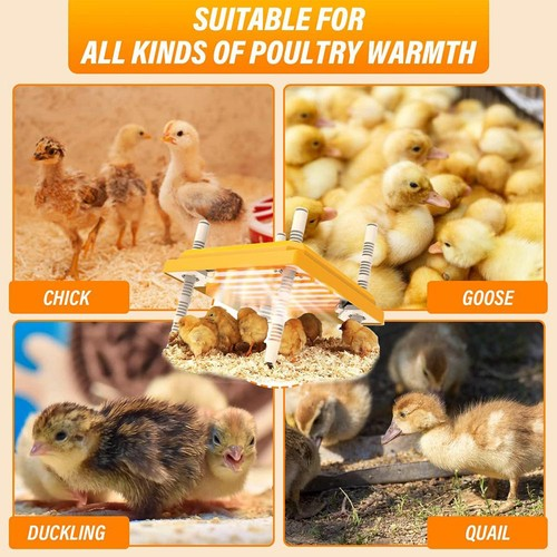 Adjustable Breed Chick Brooder Heating Plate Constant Temperature Poultry Warmer 2