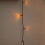 100m 1000 LED Multi-Action Christmas String Lights in Antique White 5