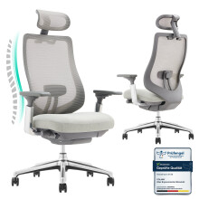 (Light grey) SMARTUE XK Atlas Ergonomic Mesh Office Chair, High Back, 4D Arms, Headrest and Slide Seat
