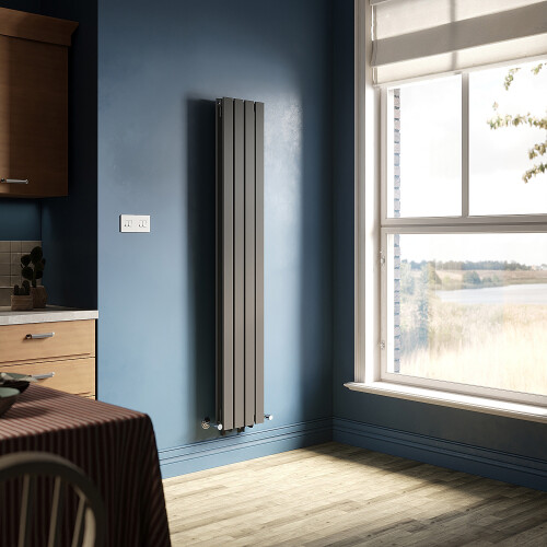 ELEGANT ELEGANT Anthracite Vertical Radiator, Double Panel 1