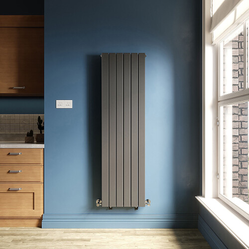 ELEGANT ELEGANT Anthracite Vertical Radiator, Double Panel 1
