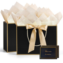 BBLIKE Medium Gift Bags for Present - 2 Pcs Birthday Gift Bag with 4 Wrappers and 2 Cards, Luxury Paper Bags with Handles for Girls Boys Wedding Part