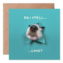 Funny Dog Birthday Card with Envelope - Do I Smell Cake? Humorous Themed Birthday Card for dog lovers, Cute Puppy Peeking Greeting Card for Mum, Dad,