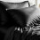 Imperial Rooms (Black , Plain Pillowcase 2-Pack) Duvet Cover Set with Pillowcases - Soft Brushed Microfibre Quilt Cover Bedding Set 1