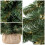 Creative Home Kleiner Weihnachtsbaum Tannenbaum Künstlich 40 cm 4