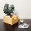 Creative Deco Holzbeize auf Wasserbasis | 1L | Weide Holz Farbe Beige 7