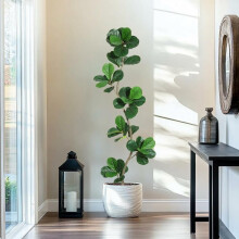 Plante artificielle Figuier à feuilles de violon, 180cm, tronc en S et feuilles en soie réalistes, facile d'entretien