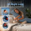 Utopia Bedding Long Body Pillow, Bolster, Double 4Ft 6 inch, Grey 6