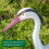 Pisces Decoy Heron Pond Predator Deterrant - Twin Pack 5