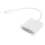 2X   Adapter DVI, Dual Link Active Adapter USB  to 2560x1600 White 7