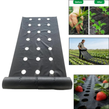 Vegetable Mulch Film Non-Woven Fabric Perforated Film Plant Mulch Membrane