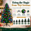 New Christmas Tree X-Mas Tree Fiber Optic 3FT 4