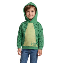 (4-5 Years, Green) Toy Story Boys Rex Cotton Hoodie