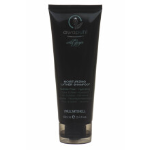 Paul Mitchell Awapuhi Wild Ginger Moisturizing Lather Shampoo 3.4 oz