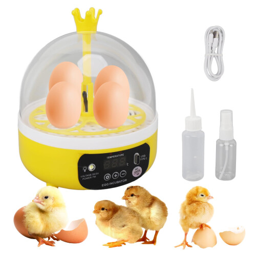 Tissting 4 Eggs Mini Incubator with Transparent Lid,Automatic