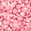 (500g Sweet Pouch) Mushrooms 1