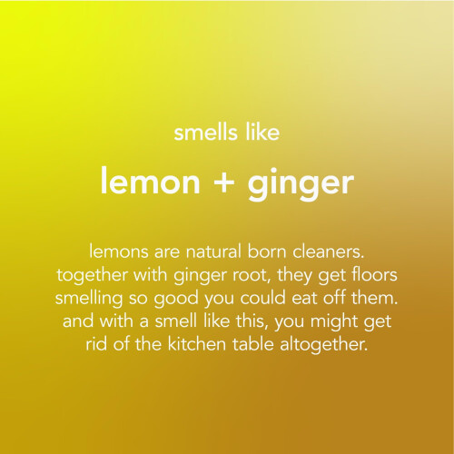 Method Method Floor Cleaner, Lemon & Ginger, Pack of 3, 739ml 2