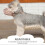 Museruola per cani di piccola taglia, copribocca per cani, anti-morso, in nylon e plastica, per cuccioli_g3 3