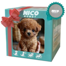 Nouveau chien robot pour adultes (2026), chien robot IA, Nicoo - Mon chiot robot réaliste qui se comporte comme un vrai chiot : marche