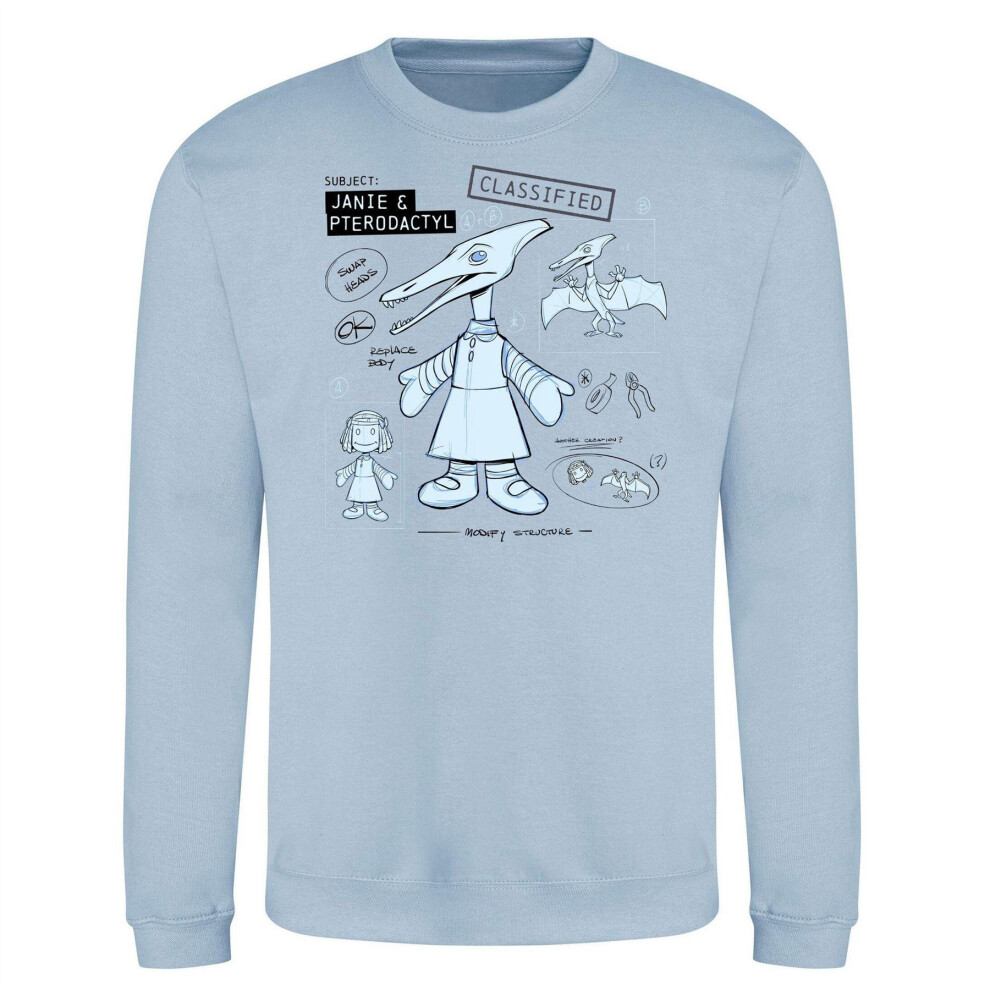 Toy Story (M, Light Blue) Mens Character Sweatshirt