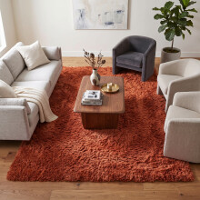 (120cm x 170cm (4ft x 5ft 8"), Orange) Extra Large Rug Soft Shaggy Living Room Carpet Mat