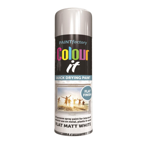 Rapide Colour It Rapide Spray Paint Quick Drying Wood Plastic Flat Matt White 250ml