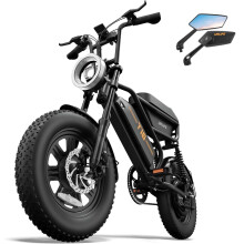 URLIFE Electric Bike for Adults, 16" x 3.0 Fat Tires Ebike, Range 100KM, 48V 13Ah Removable Battery and 250W Brushless Motor Electric Bicycle, Dual S